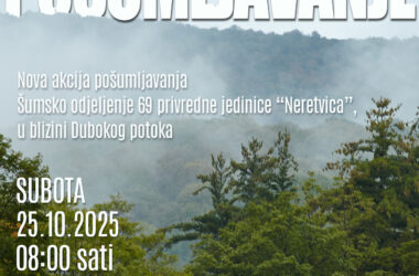 Pošumljavanje u dolini Neretvice