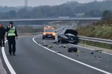 Udes rodbine u Hrvatskoj