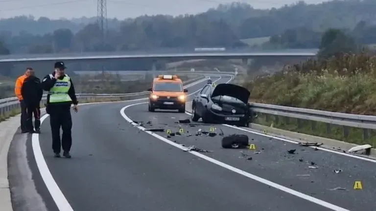 Udes rodbine u Hrvatskoj