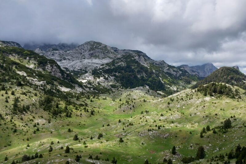 Crno polje – Prenj