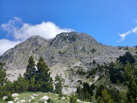 Osobac – Prenj