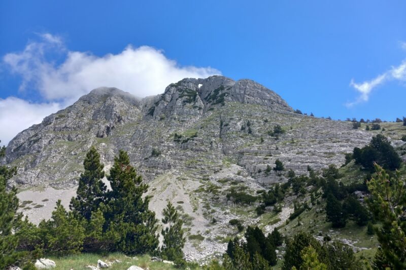 Osobac – Prenj