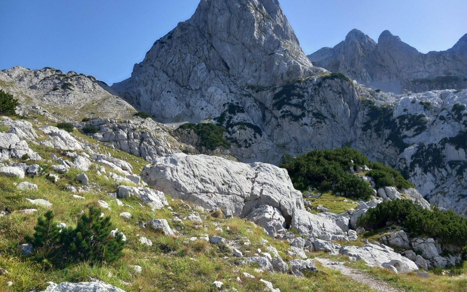 Otiš i Zelena glava – Prenj