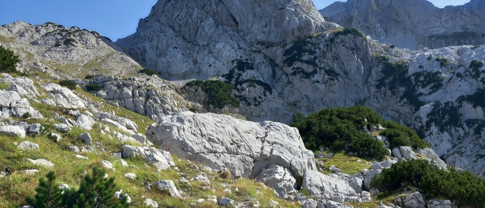 Otiš i Zelena glava – Prenj