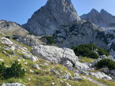 Otiš i Zelena glava – Prenj