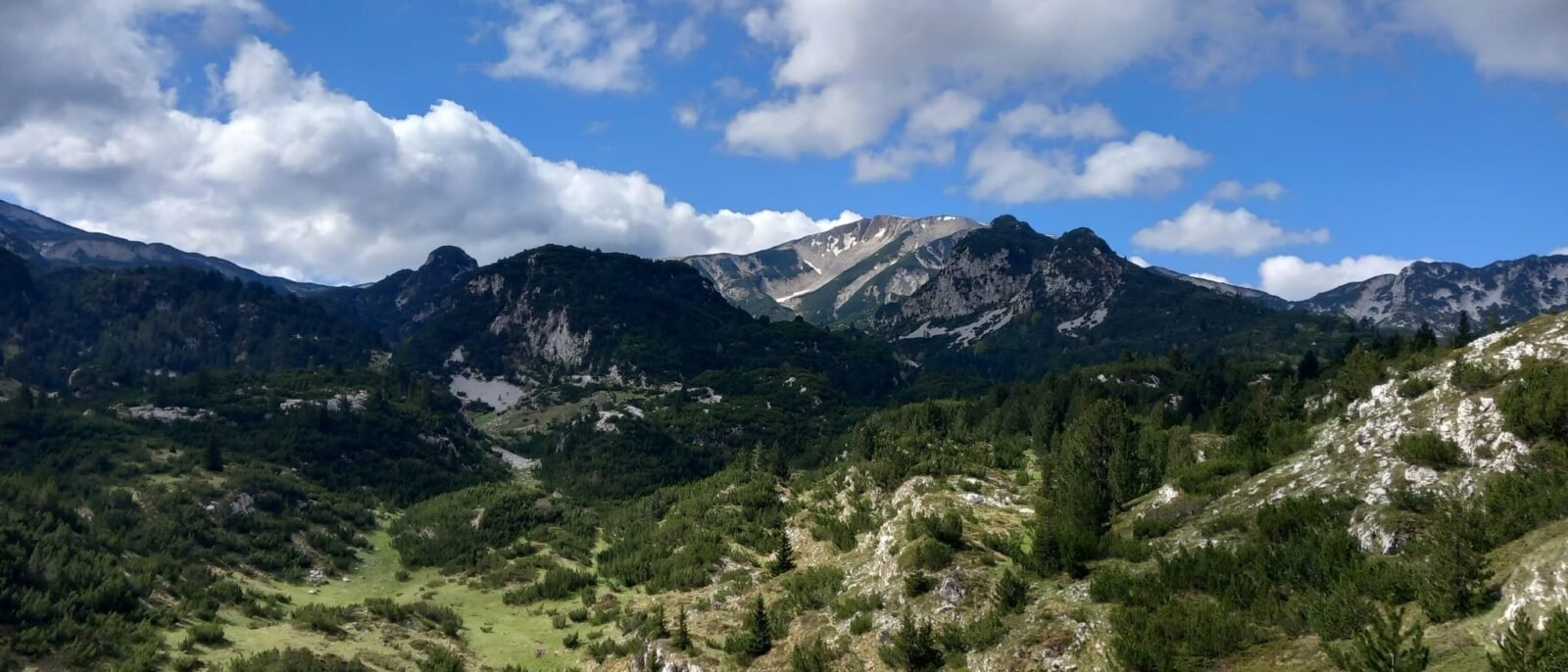 Čvrsnica