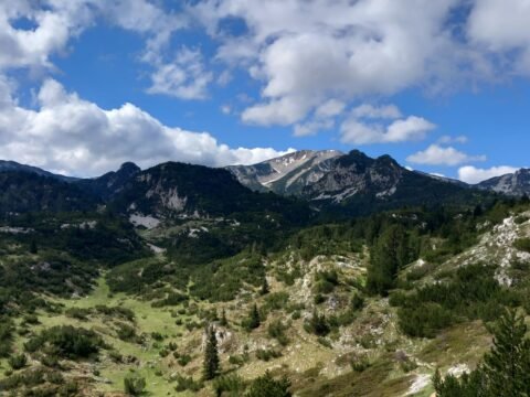 Čvrsnica