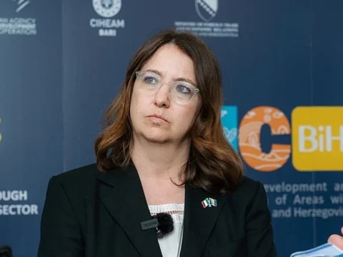 Ambasadorica Italije u BiH Sarah Eti Castellani: Helikopter EUFOR-a je pao prilikom polijetanja, dinamika još nejasna