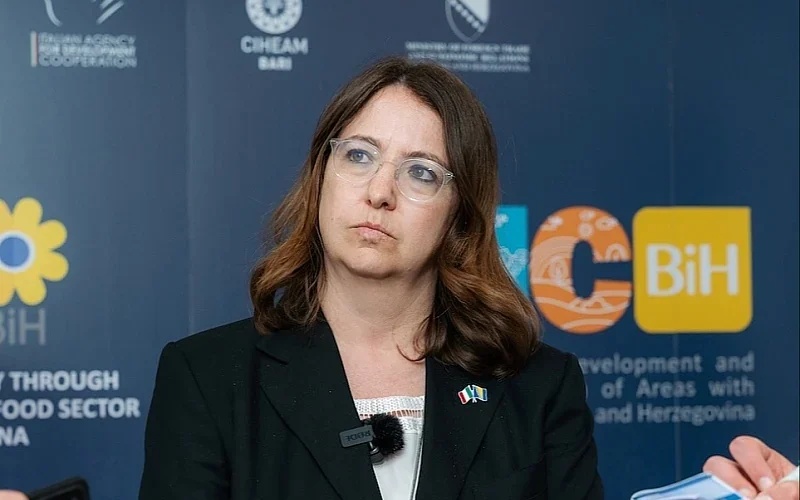 Ambasadorica Italije u BiH Sarah Eti Castellani: Helikopter EUFOR-a je pao prilikom polijetanja, dinamika još nejasna